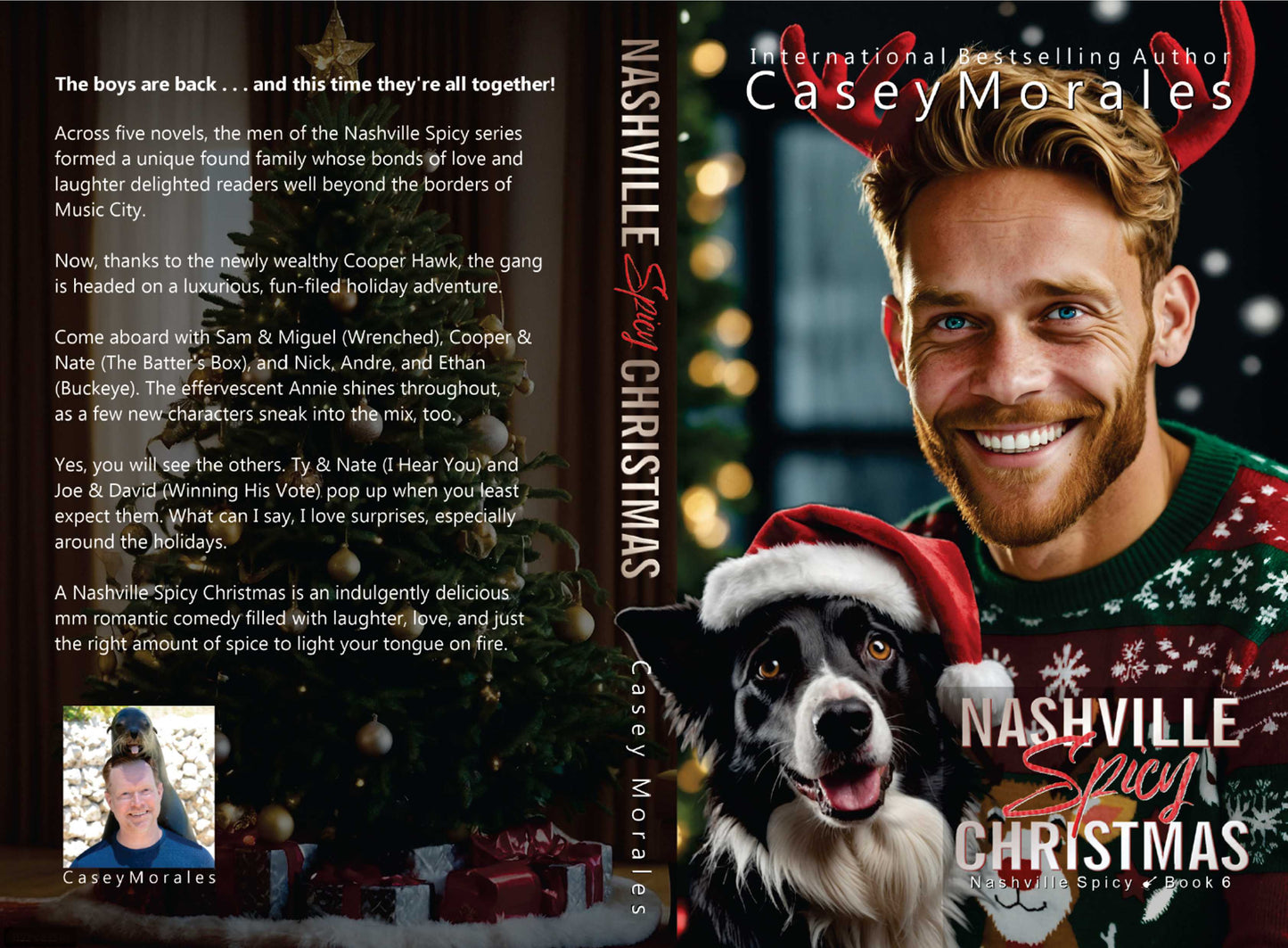 A Nashville Spicy Christmas (BV)