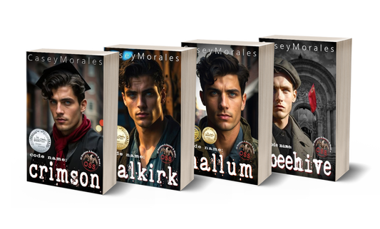Of Shadows & Secrets 4-Book Bundle (55% off)